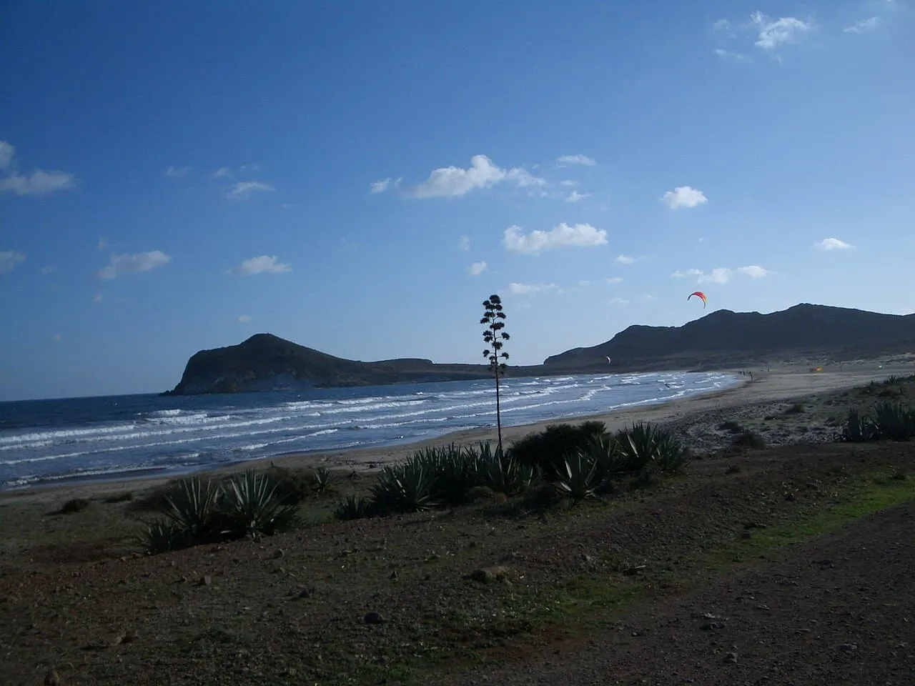 La Playa de los Genoveses al crepuscolo nel Parco Naturale di Cabo de Gata, con un'agave in fiore