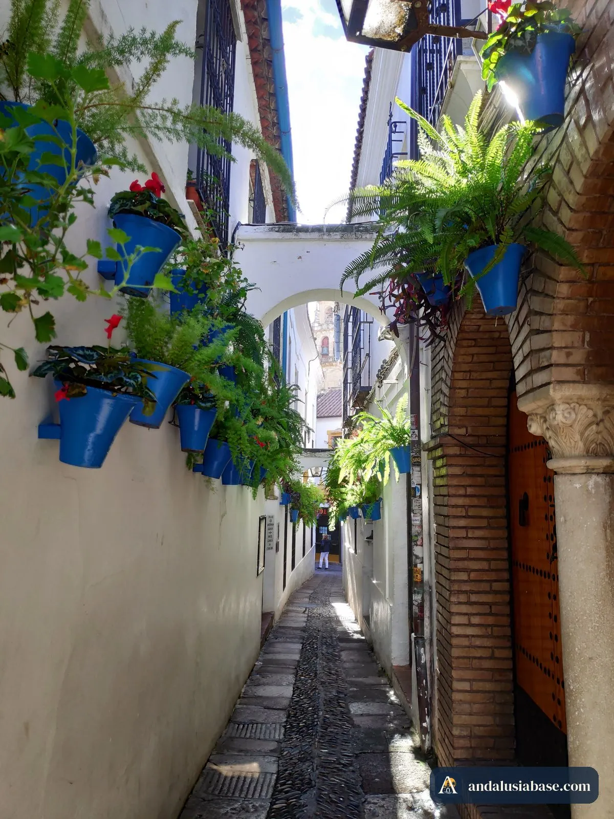 Fetos e vasos azuis ao longo da Calleja de las Flores, na Judería