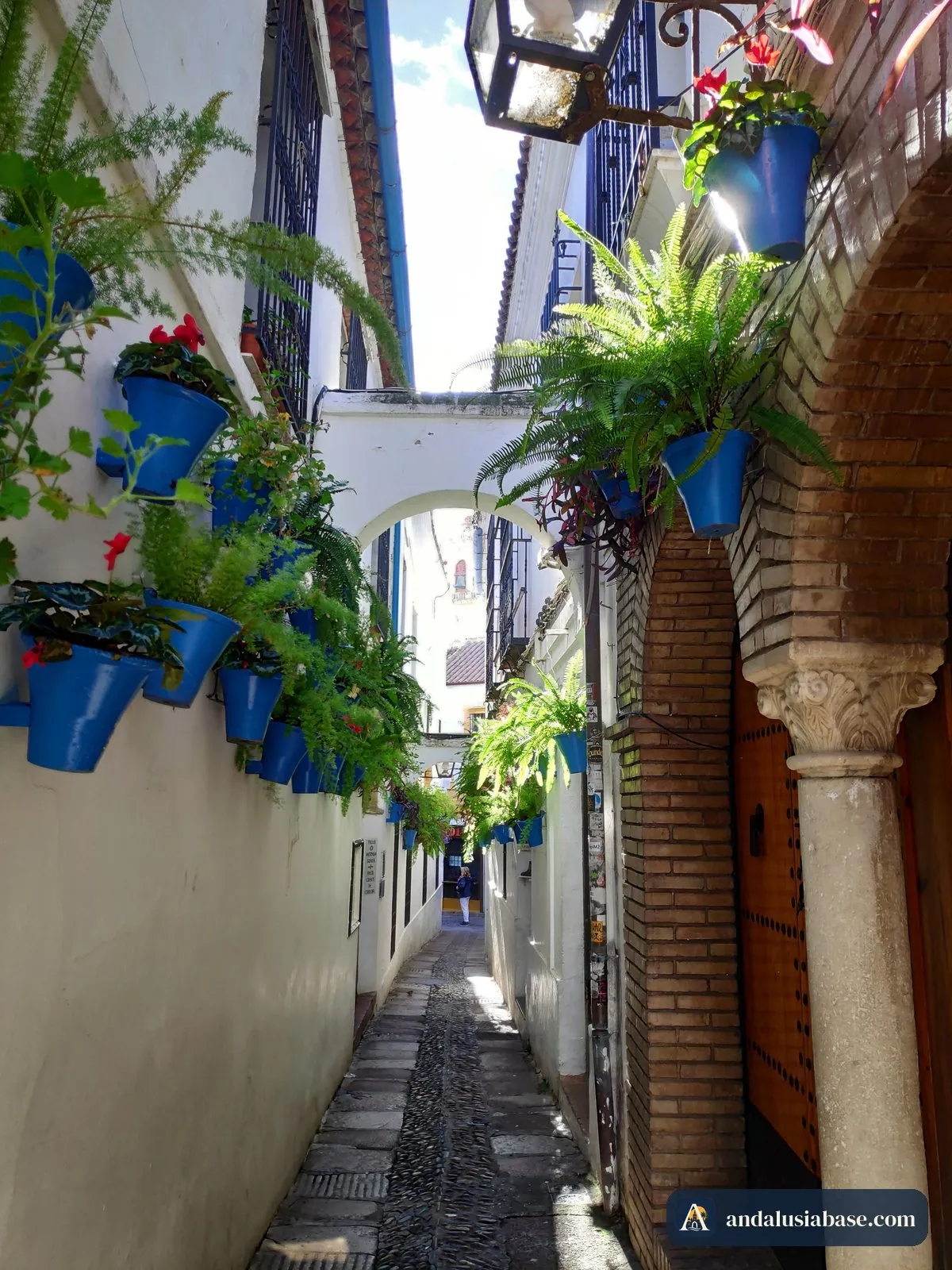 Vasos azuis pendurados nas paredes brancas da estreita Calleja de las Flores