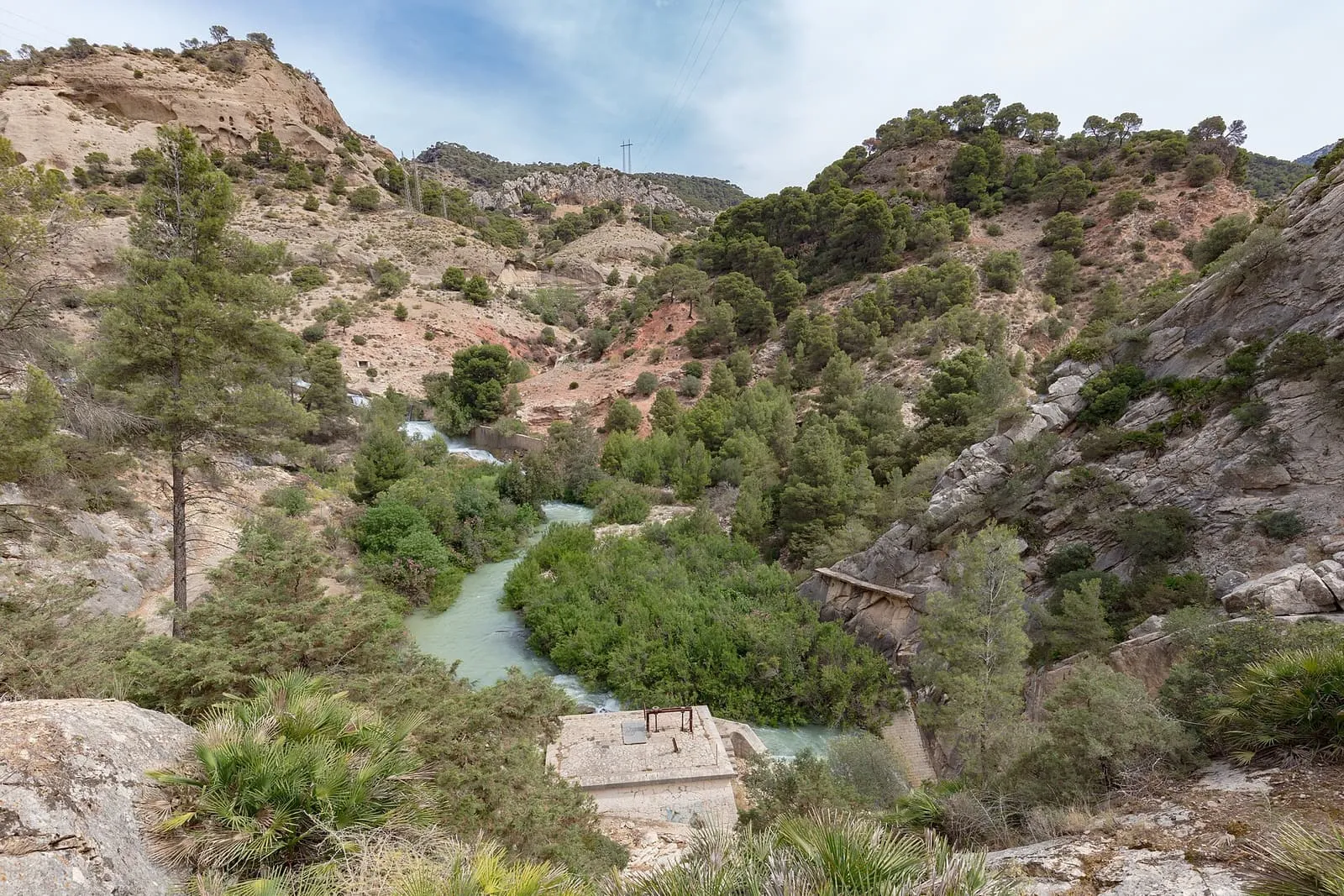Il fiume Guadalhorce tra pendii coperti di pini lungo il percorso del Caminito del Rey