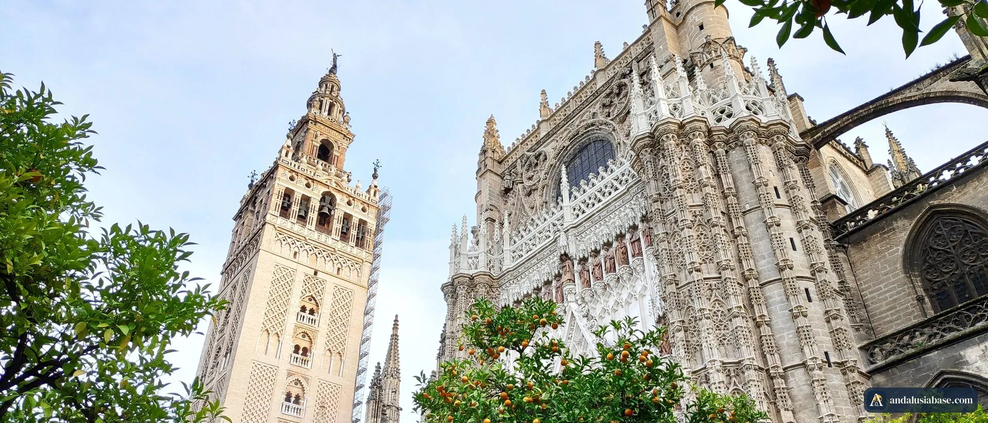A Giralda e a fachada gótica norte da Catedral de Sevilha sobre as laranjeiras do Pátio de los Naranjos