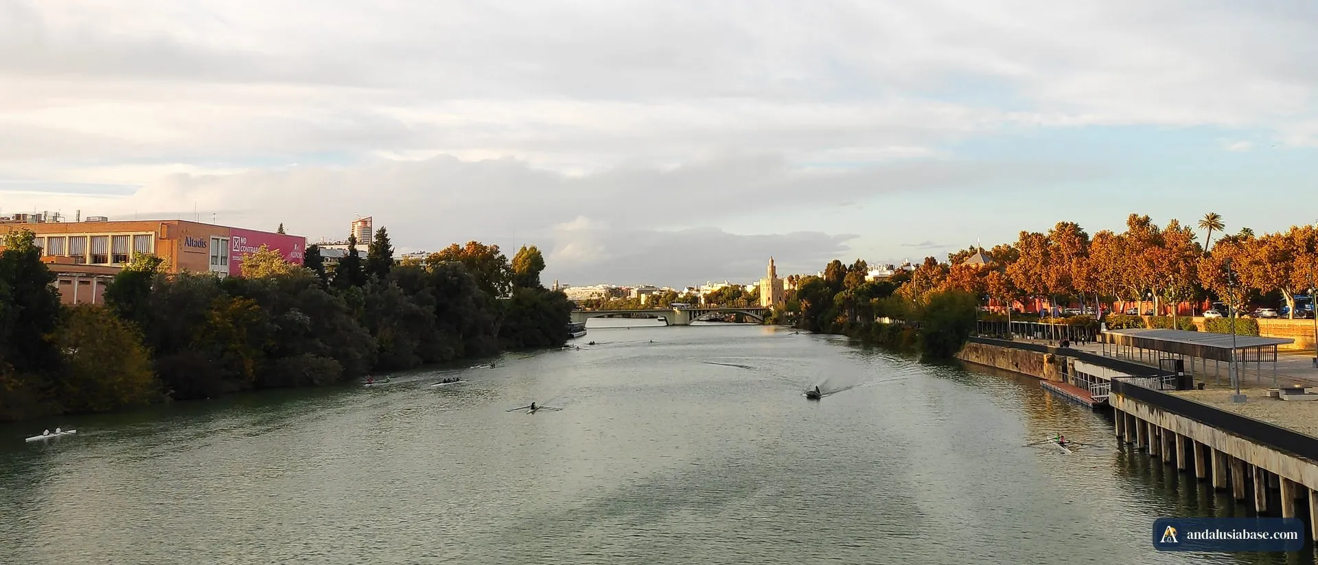 Remadores no Guadalquivir, em Sevilha, à luz do fim da tarde, com árvores outonais e a Torre del Oro ao fundo