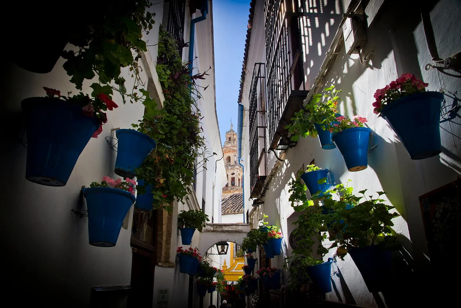 Vasi blu sui muri bianchi della Calleja de las Flores, che incorniciano il campanile della Mezquita