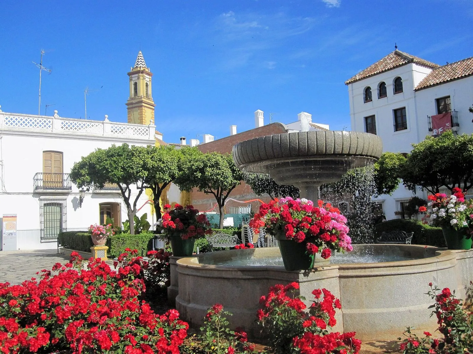 Rote Geranien und ein Brunnen auf der Plaza de las Flores in Estepona, dahinter der Kirchturm