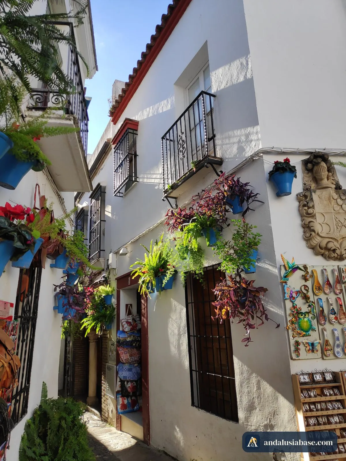 Vasos de flores e varandas de ferro forjado nas casas caiadas da Judería