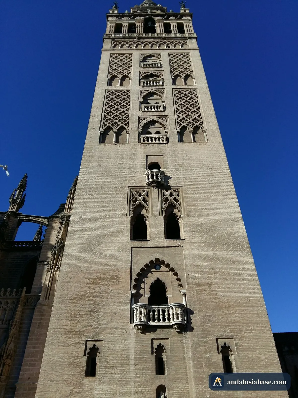O campanário da Giralda recortado contra um céu azul intenso