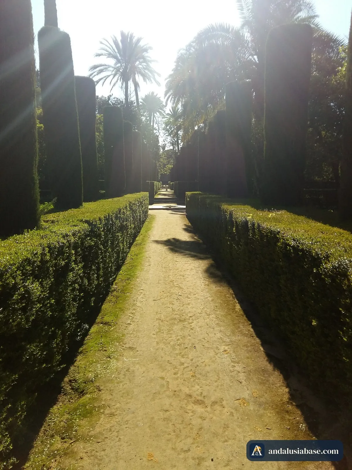 Caminho de areia entre sebes altas nos jardins do Real Alcázar