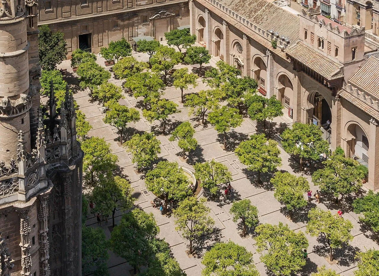 El Patio de los Naranjos de la catedral de Sevilla visto desde lo alto de la Giralda