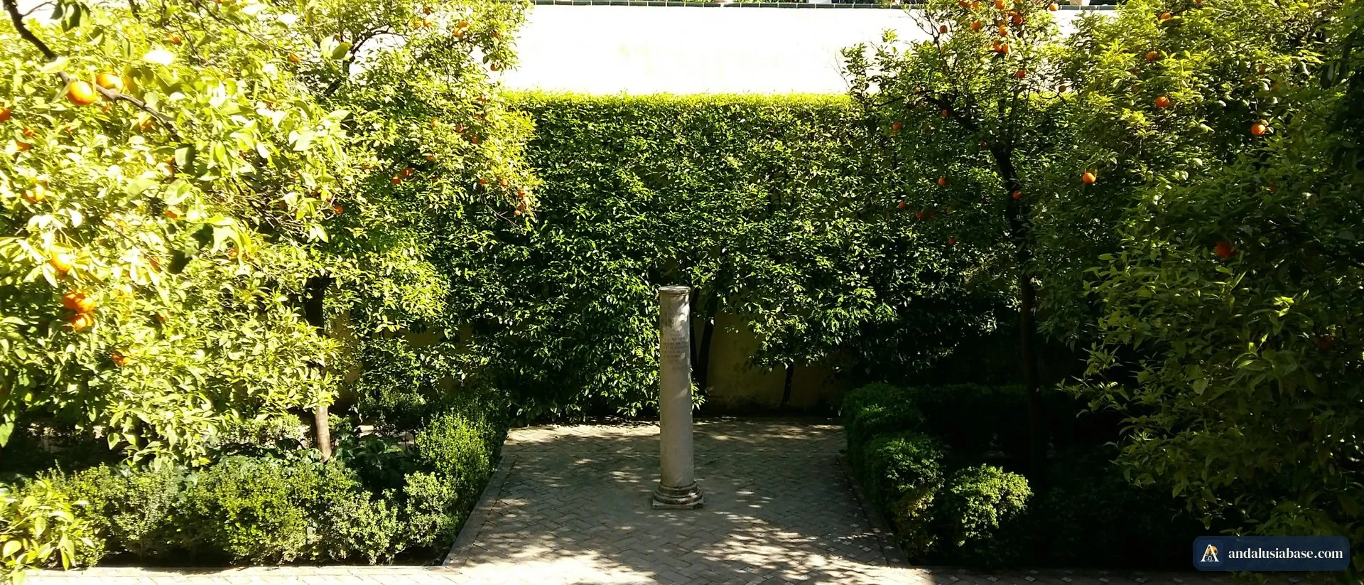 Laranjeiras carregadas de fruta num jardim tranquilo do Real Alcázar de Sevilha em março