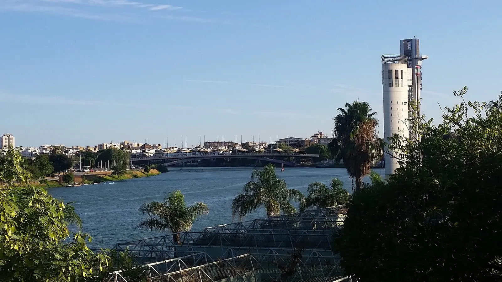 Il Guadalquivir a Siviglia in un pomeriggio d'estate, con palme e una torre panoramica bianca