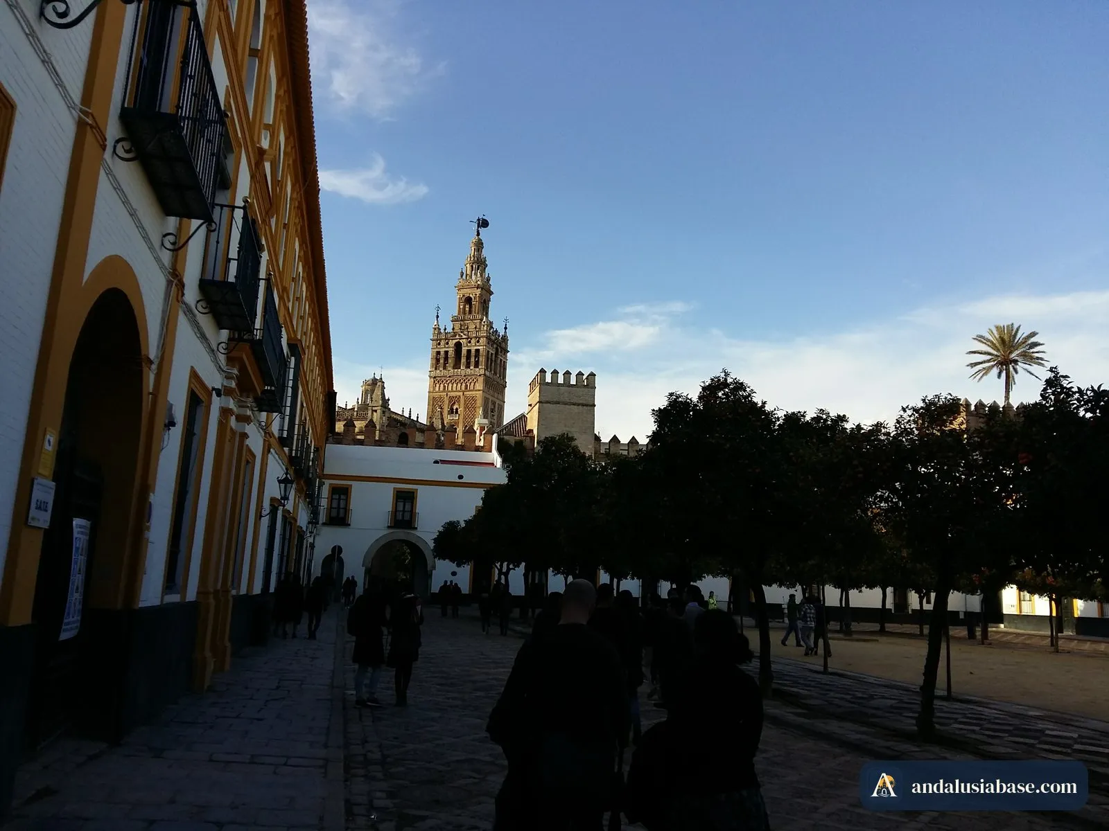 A Giralda ergue-se atrás das laranjeiras do Patio de Banderas, a praça junto à saída do Alcázar