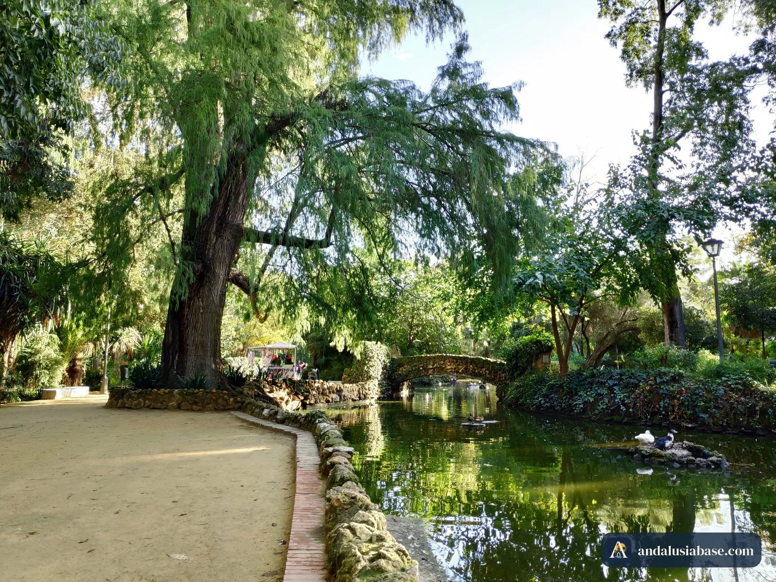 O lago dos patos e a pequena ponte da Isleta de los Patos no Parque de María Luisa