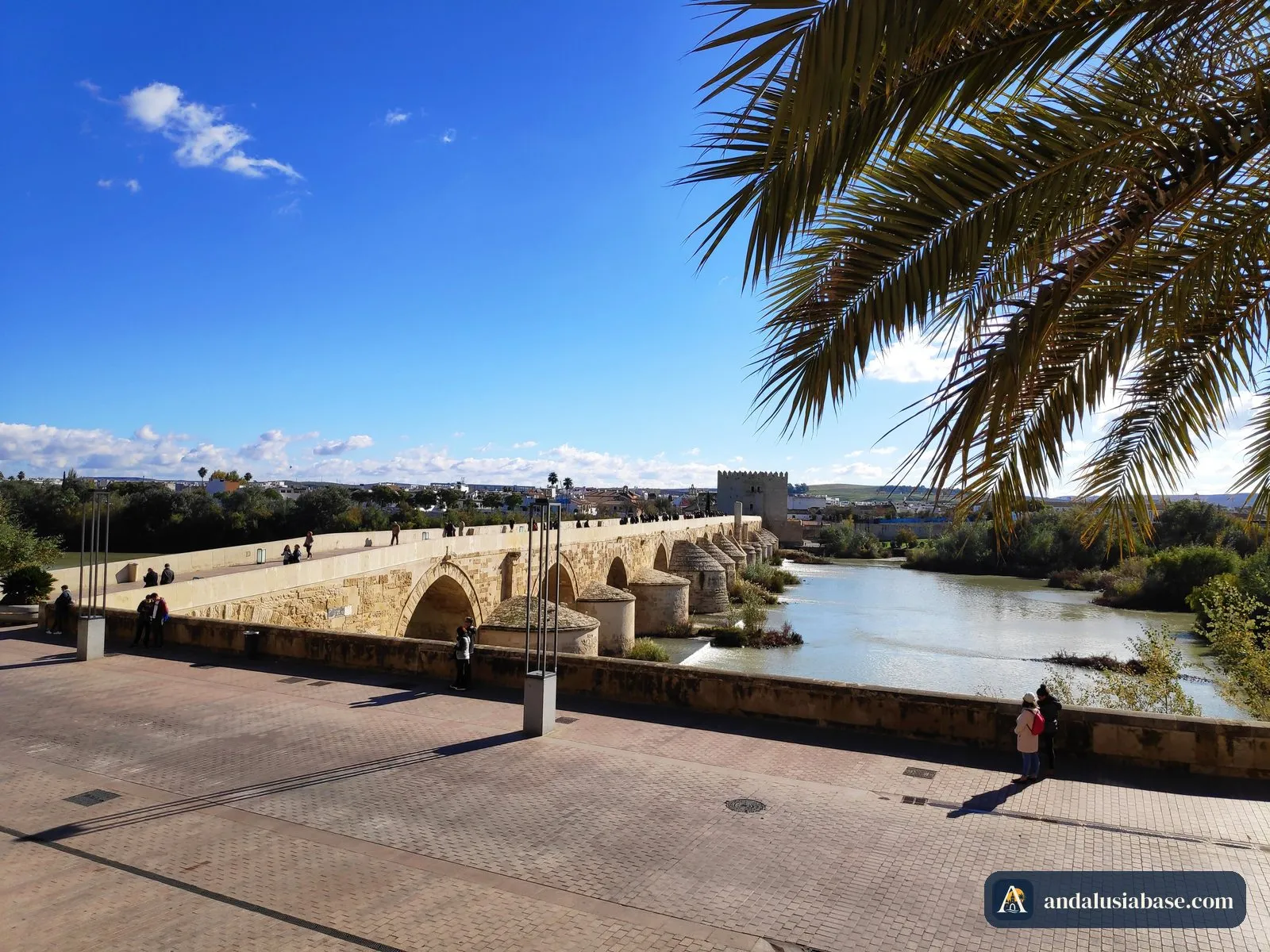 A ponte romana e o Guadalquivir emoldurados por folhas de palmeira num dia de sol