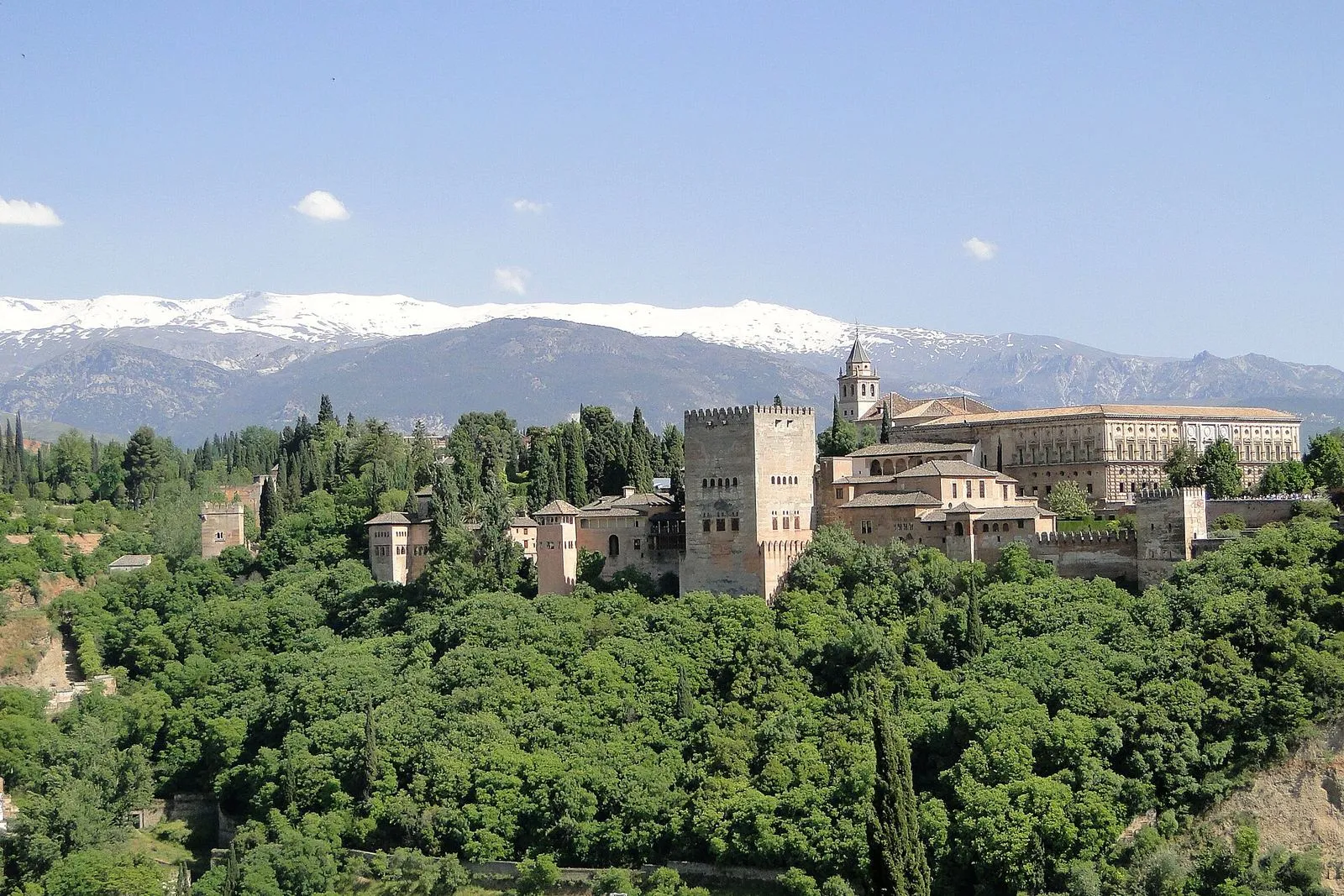 A Alhambra por cima das árvores com a Serra Nevada coberta de neve ao fundo, Granada