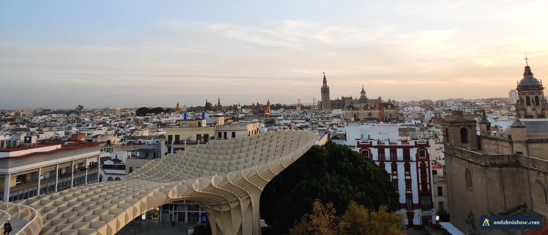 A cobertura de madeira das Setas de Sevilla ao pôr do sol, com os telhados do centro histórico e a Giralda no horizonte