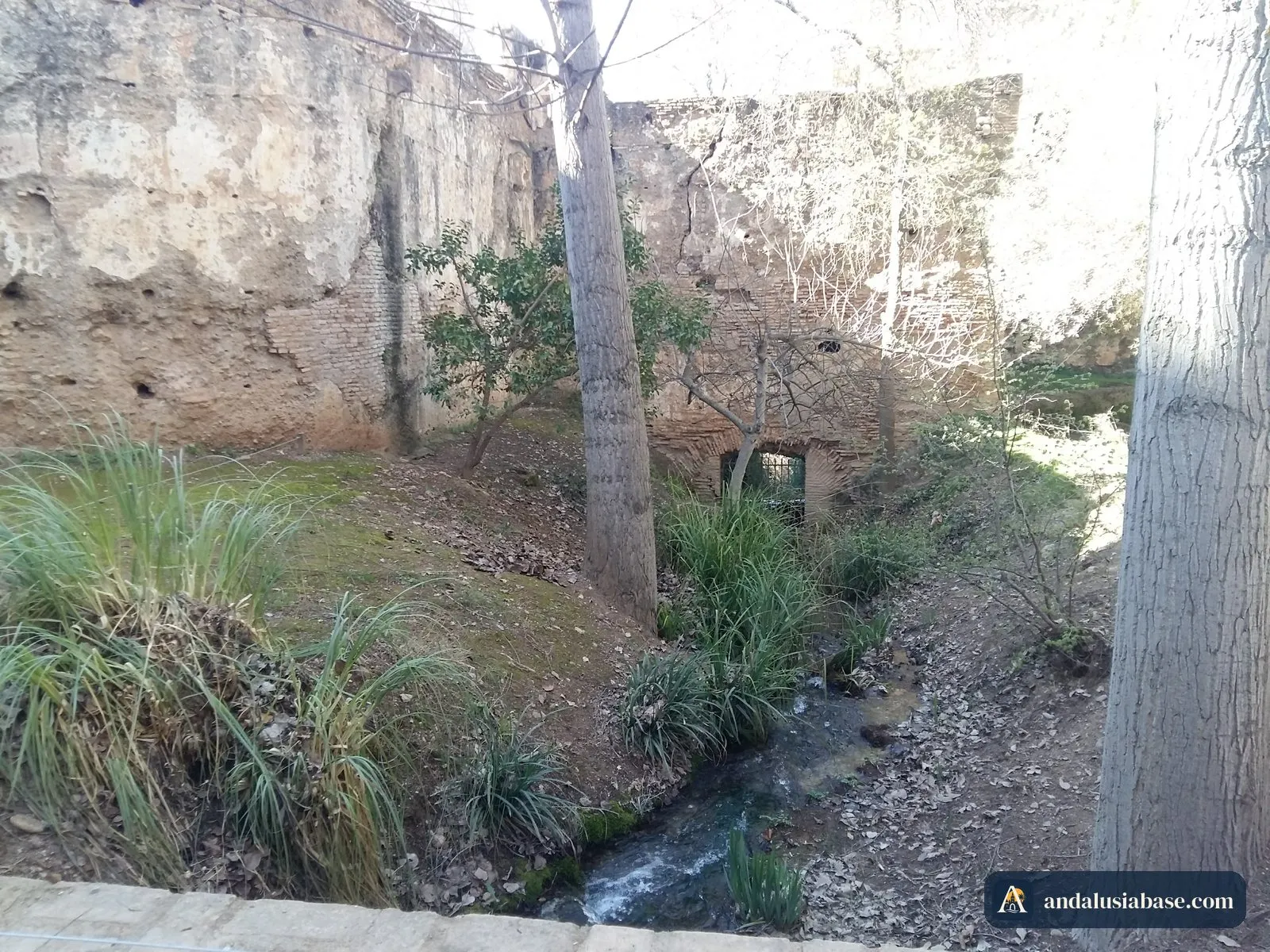 Um pequeno ribeiro a correr entre árvores no sopé das muralhas da Alhambra
