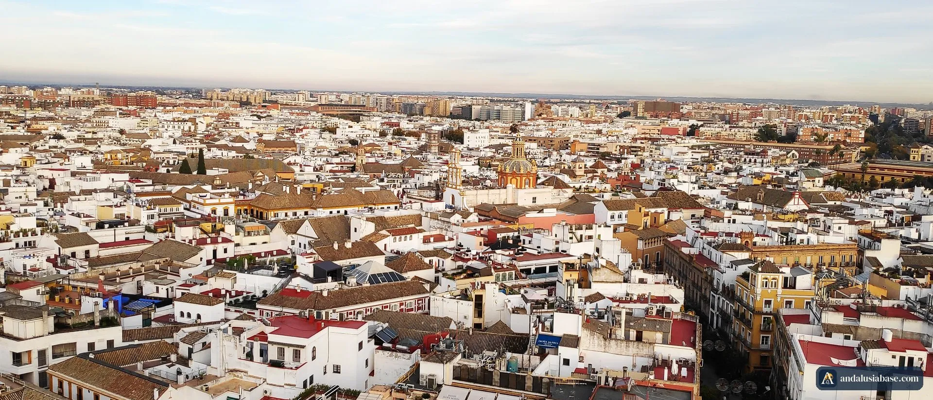 Panorama of Seville's white and terracotta rooftops seen from the top of the Giralda
